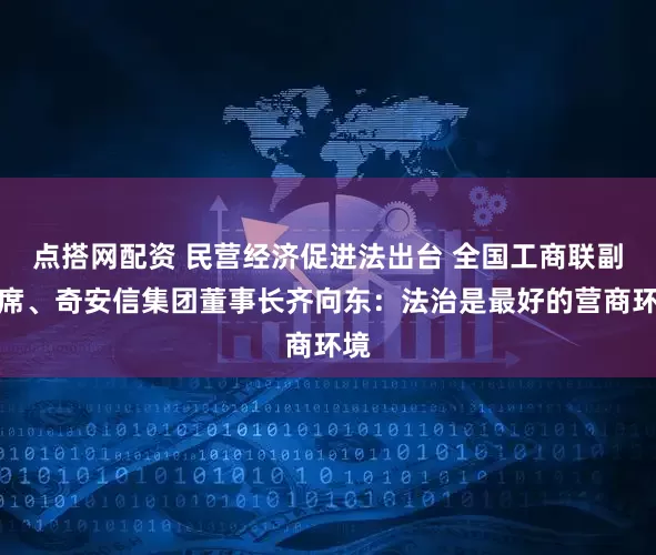 点搭网配资 民营经济促进法出台 全国工商联副主席、奇安信集团董事长齐向东：法治是最好的营商环境