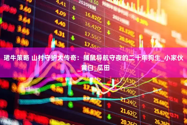 珺牛策略 山村守护犬传奇：捕鼠导航守夜的二十年狗生_小家伙_黄白_瓜田
