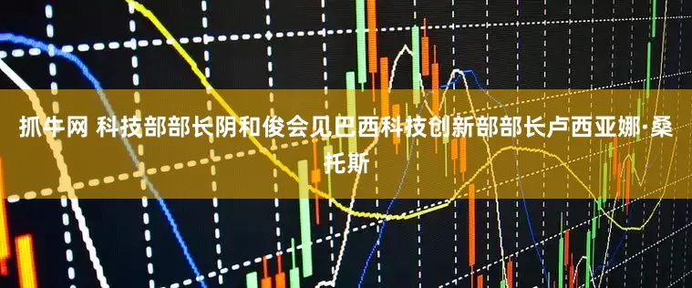 抓牛网 科技部部长阴和俊会见巴西科技创新部部长卢西亚娜·桑托斯