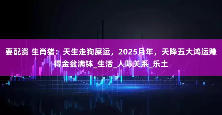 要配资 生肖猪：天生走狗屎运，2025月年，天降五大鸿运赚得金盆满钵_生活_人际关系_乐土