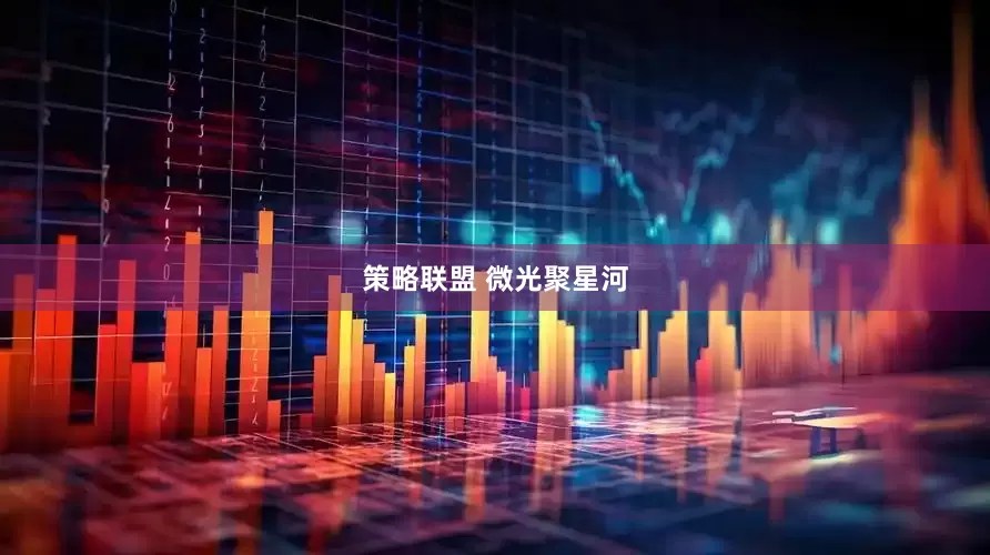策略联盟 微光聚星河